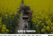 TOPGIRONA.COM